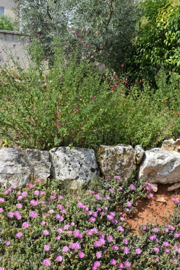 Villa Vinki Vinkuran Dış mekan fotoğraf